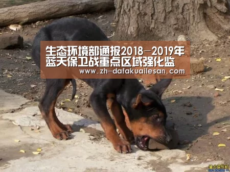 生态环境部通报2018-2019年蓝天保卫战重点区域强化监督情况(12月19日):大发快三(图1) 大发快三