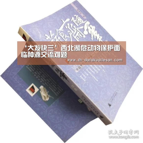 大发快三