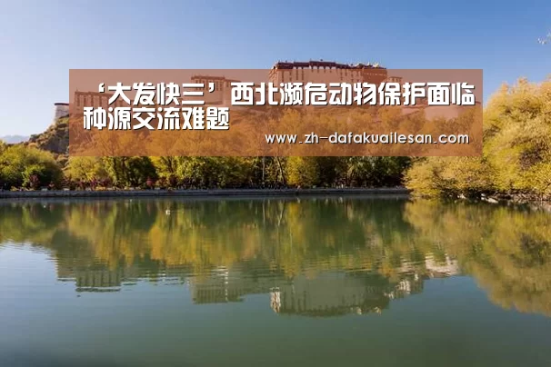 大发快三