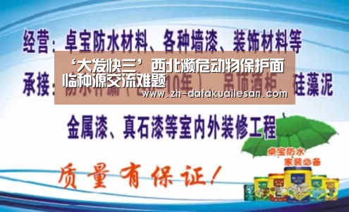 大发快三