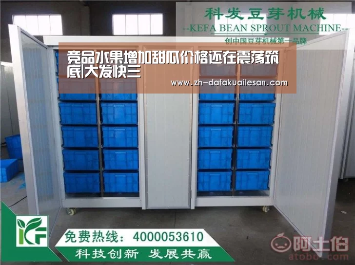 竞品水果增加甜瓜价格还在震荡筑底|大发快三(图2) 大发快三