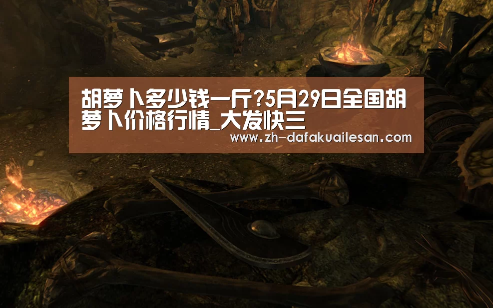 大发快三