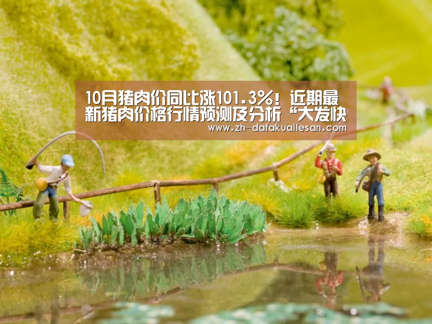 大发快三
