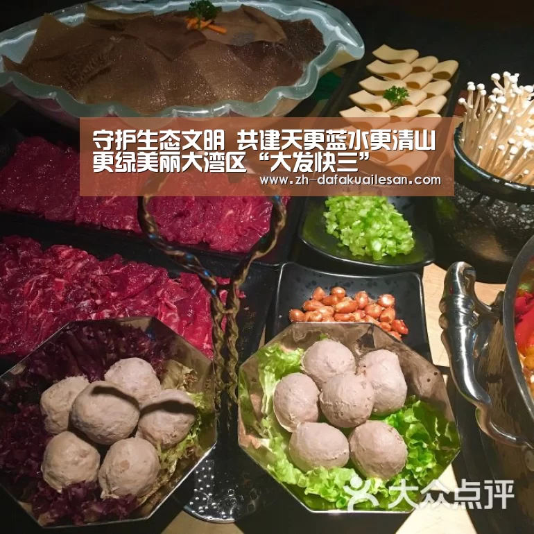 守护生态文明 共建天更蓝水更清山更绿美丽大湾区“大发快三”(图3) 大发快三