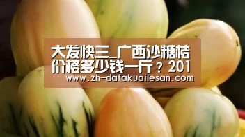 大发快三