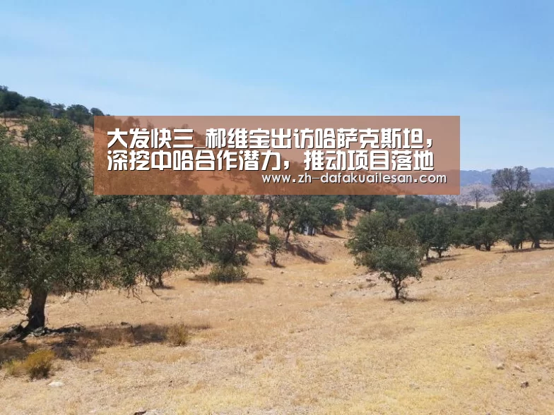 大发快三