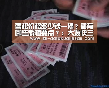 雪松价格多少钱一棵?都有哪些栽植要点?:大发快三(图3) 大发快三