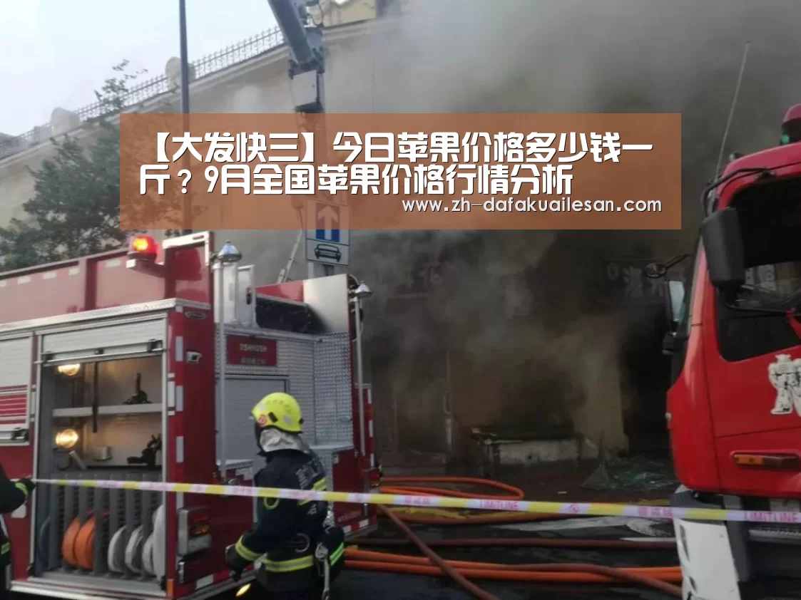大发快三