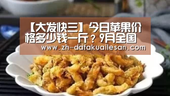 大发快三