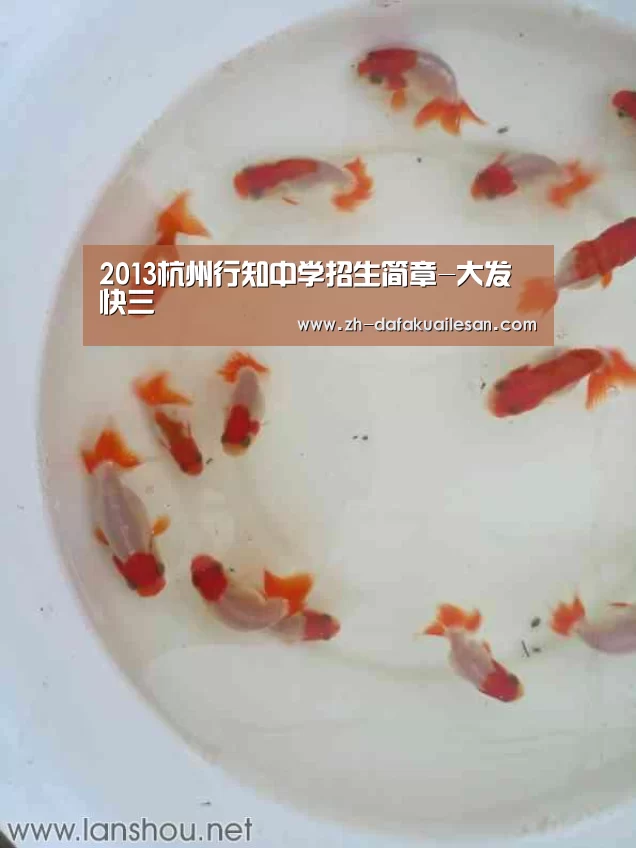 2013杭州行知中学招生简章-大发快三(图3) 大发快三