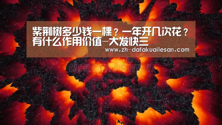 紫荆树多少钱一棵?一年开几次花?有什么作用价值-大发快三(图2) 大发快三