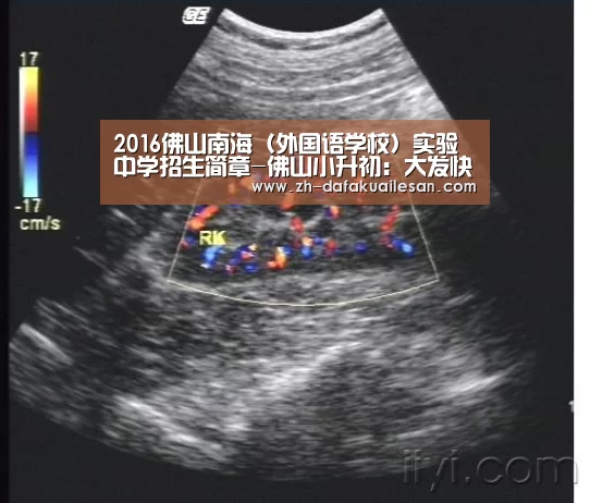 2016佛山南海（外国语学校）实验中学招生简章-佛山小升初：大发快三